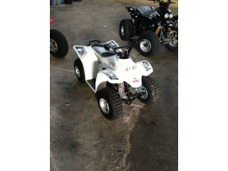 Quadzilla Buzz 50 Mini ATV  - Aberdeen Motorcycles