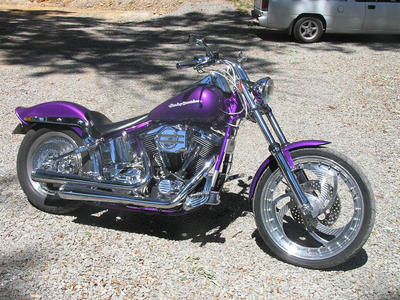 Adelaide Harley Softtail Custom $19,000 - Adelaide Motorcycles
