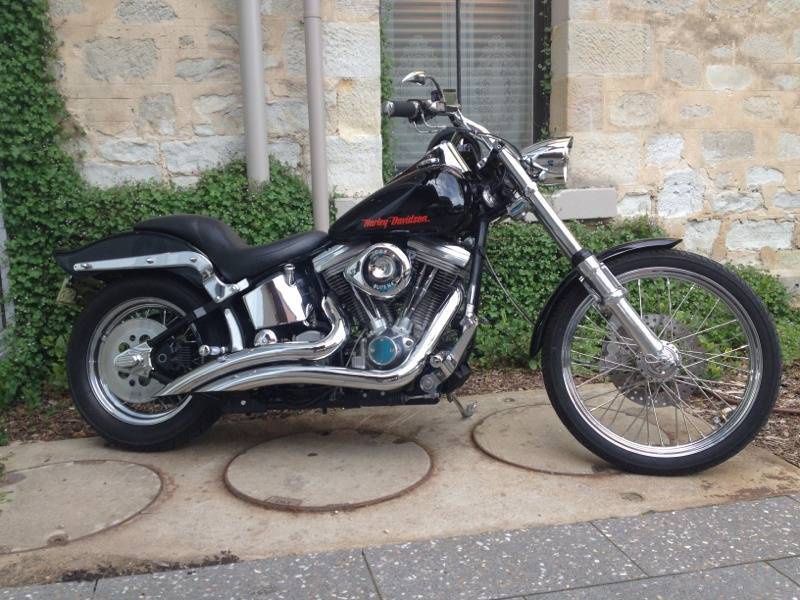 Harley Davidson softail $16,500 - Adelaide Motorcycles
