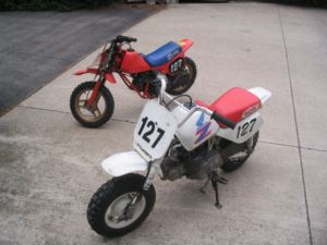 1983mini moto $800 - Sarnia Motorcycles