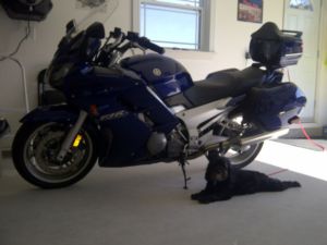 2005 yamaha FJR 1300  - Saint Johns Motorcycles