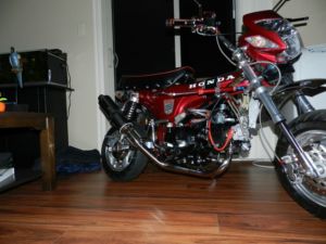 HONDA CT 70cc - Moncton Motorcycles