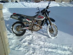  Suzuki DR 650cc 2001 - Moncton Motorcycles