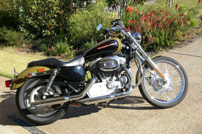 Harley Davidson Sportster 883 good condition - Brisbane Motorcycles