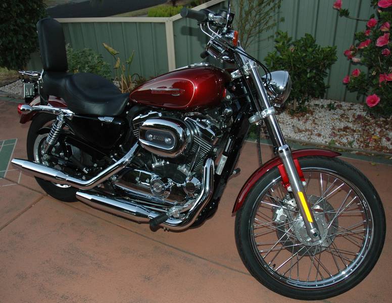 New 2010 Harley Davidson  XL 1200cc - Melbourne Motorcycles