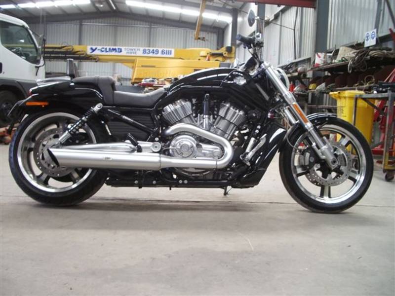 Harley Davidson V Rod Muscle - Adelaide Motorcycles
