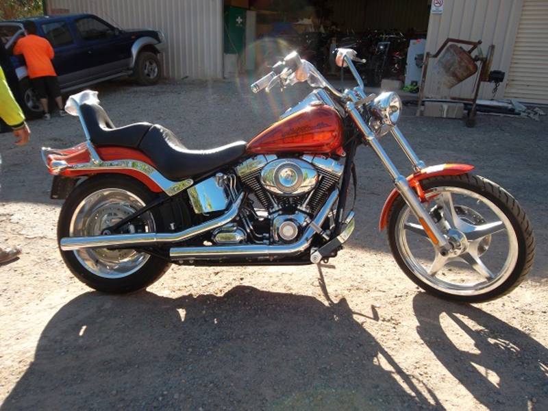 HARLEY DAVIDSON SOFTAIL CUSTOM EXCELLENT CONDITION.  - Adelaide Motorcycles