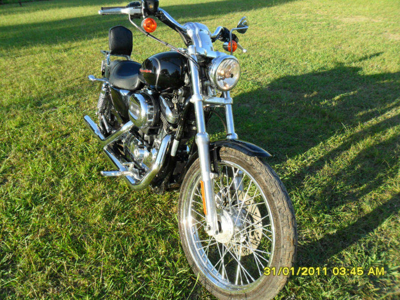 1000klm Harley Davidson Custom 1200cc - Sydney Motorcycles