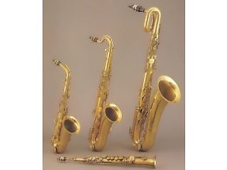 Saxophone, Clarinet and Flute Lesson - London Musical Instruments