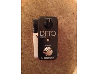 For sale Ditto Looper by TC Electronic  - London Musical Instruments