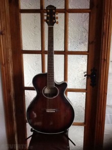 Electric/Acoustic Guitar - Dublin Musical Instruments