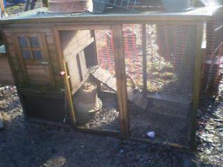 Chicken coop with free chickens  - London Birds