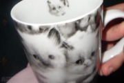 Kitten Mug  - Cork Home Appliances