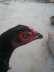 Egg laying aseel black murghi 1.5years  - Karachi Birds