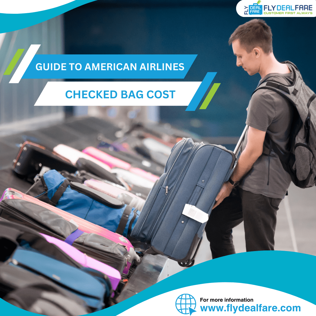The Ultimate Guide to American Airlines' Checked Bag Cost - Other Other