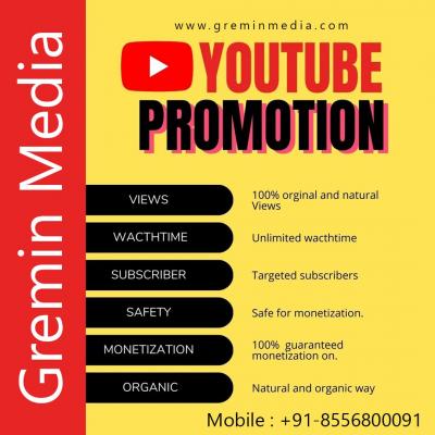 YOUTUBE VIDEO PROMOTION COMPANY IN CHANDIGARH MOHALI - Ludhiana Other