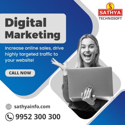 Digital Marketing Company in India | Sathya Technosoft - Other Other