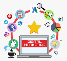 Achieve Digital Success: Best Digital Marketing Agency in Delhi NCR - Delhi Professional Services