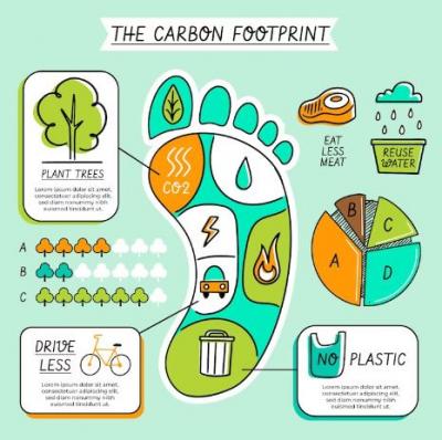 Carbon Footprint Calculator For Business - Faridabad Other
