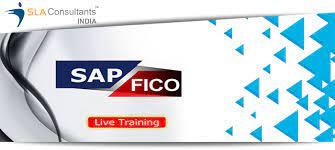 Best SAP FICO Certification in Delhi, SLA Institute, Finance & Controlling Classes, 100% Job - Delhi Professional Services