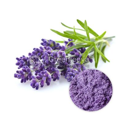 Wholesale Organic Lavender Powder - Other Other