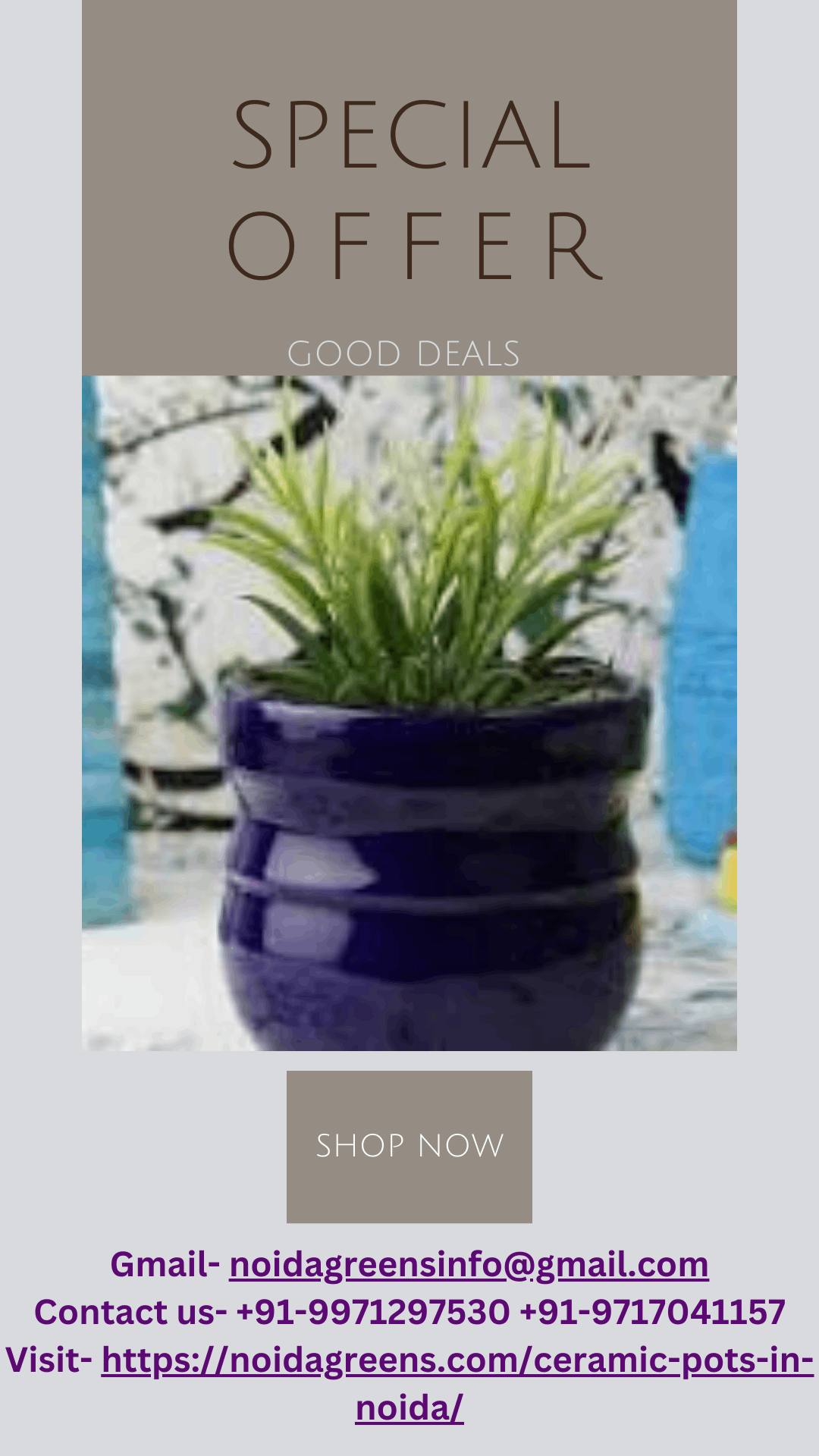 Best offers in Pots And Planters In Noida