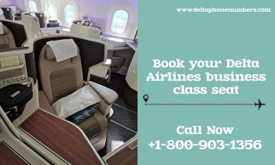 Book your Delta Airlines business class seat - Chicago Other