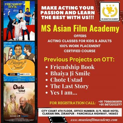 Acting Institute In Chandigarh - Chandigarh Professional Services
