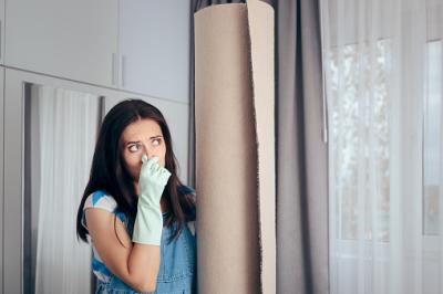 Hire Professional Odor Removal Services in Marietta to Eliminate Unwanted Odors