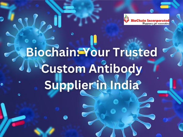 Biochain: Your Trusted Custom Antibody Supplier in - Delhi Health, Personal Trainer