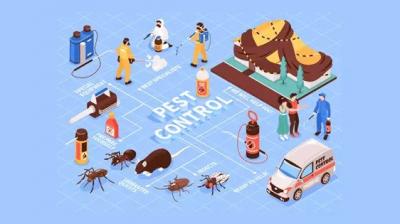On Demand Pest Control App Development  - New York Other