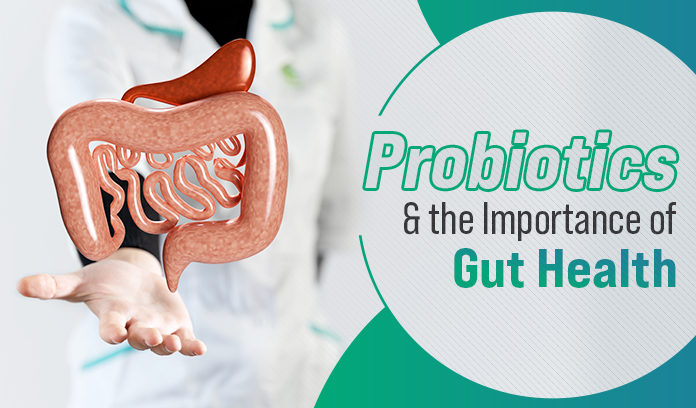 Importance of Gut Health - New York Other