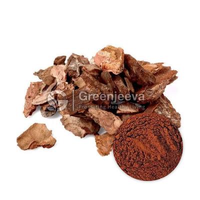 Wholesale Organic Pine Bark Powder - Other Other