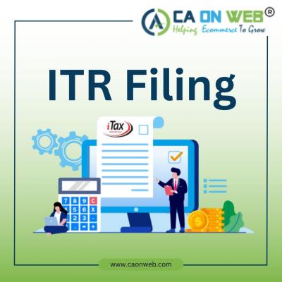 ITR filing. - Delhi Other