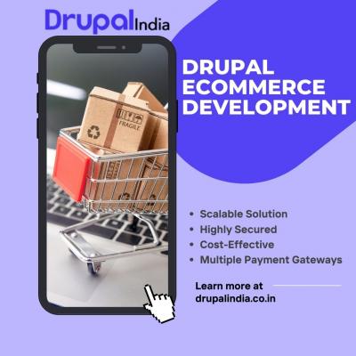 Drupal eCommerce Development - Gurgaon Professional Services