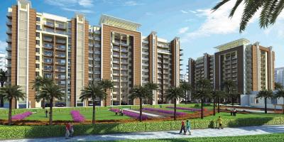Best 3 And 4 BHK Floors In Oxirich Builders In Gurugram - Gurgaon For Sale