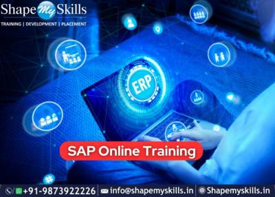 Start Your Career in SAP Online Training at ShapeMySkills - Delhi Tutoring, Lessons