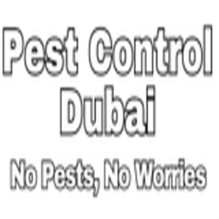 Pest Control Dubai - Dubai Other