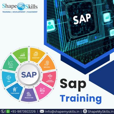 Unlock the Power of SAP Training in Delhi at ShapeMySkills - Delhi Tutoring, Lessons