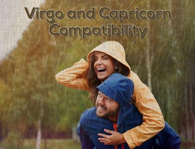 Virgo and Capricorn Compatibility - Other Other