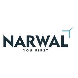 Data Science Consulting Services - Narwal
