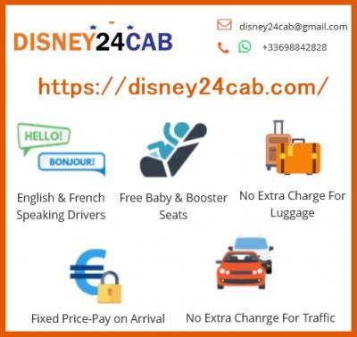 Private taxi rental services from Paris Airport to Disneyland - Other Other