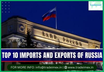 Which products are the most often imported into Russia?