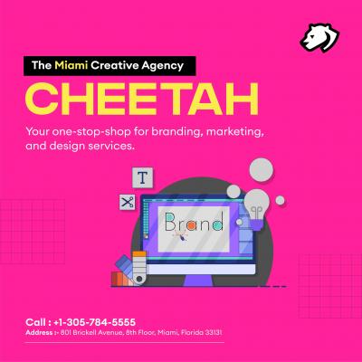 Unleashing Creativity with a Leading Creative Agency Miami - Miami Professional Services