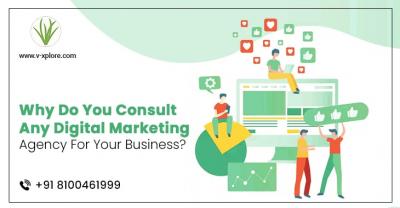 Why Do You Consult Any Digital Marketing Agency For Your Business?