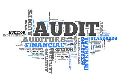 Hire us for any kind of auditing job, no matter how big or small - Delhi Professional Services