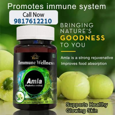Amla capsules gift you with better vision & normalize the level of uric acid. - Dubai Health, Personal Trainer