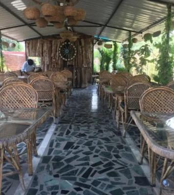 Pure Veg Restaurant in Udaipur - Other Other