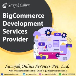 BigCommerce Development Services Provider - Delhi Other
