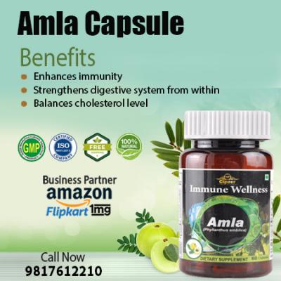 Amla capsules gift you with better vision & normalize the level of uric acid - Dubai Other